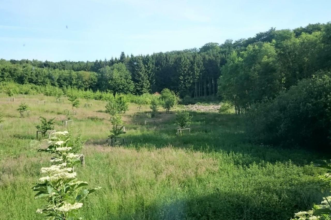 Chalet Forsthof Everstorf Гревесмюлен Екстериор снимка