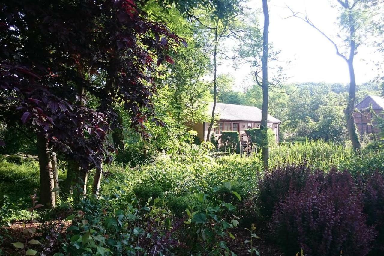 Chalet Forsthof Everstorf Гревесмюлен Екстериор снимка