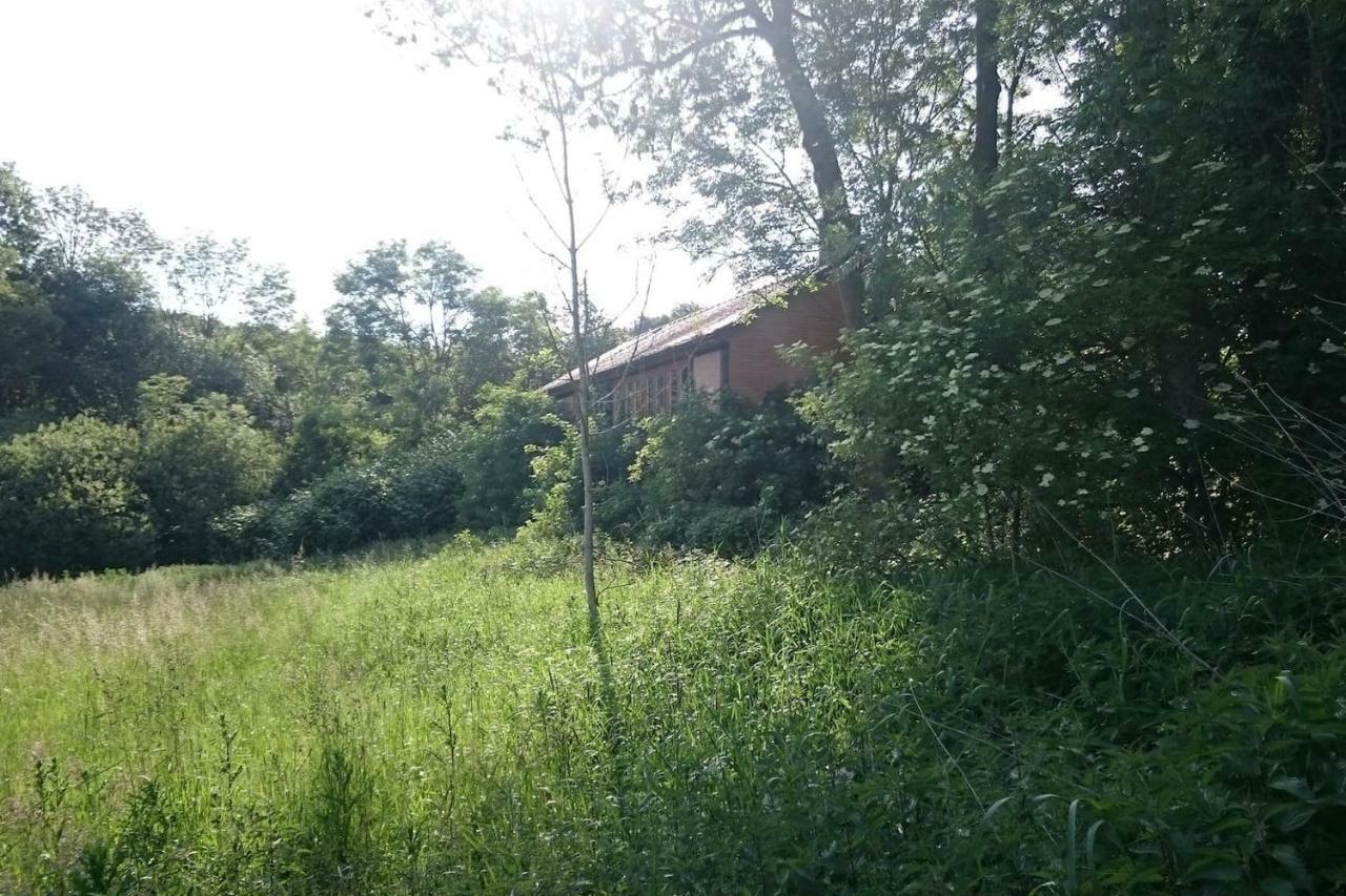 Chalet Forsthof Everstorf Гревесмюлен Екстериор снимка